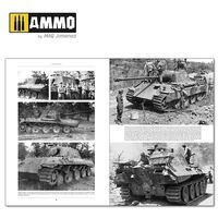 6264, Italienfeldzug, Carros de Combate y Vehiculos Alemanes V.2 1943-1945, AMMO Mig Jimenez. 