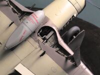 08069 Focke-Wulf Fw190D-9, 1/32, Hasegawa